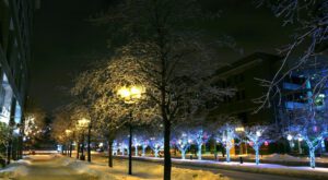 ночной зимний освещенный сквер